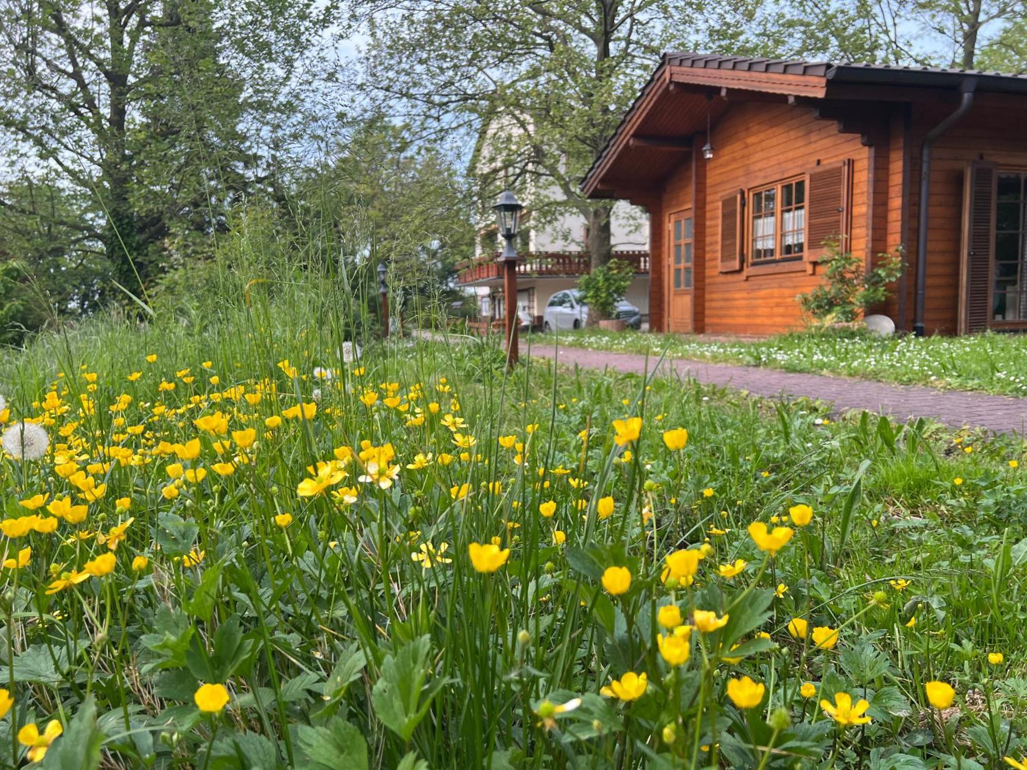 Landgasthof Gaensberg 비스로흐 외부 사진